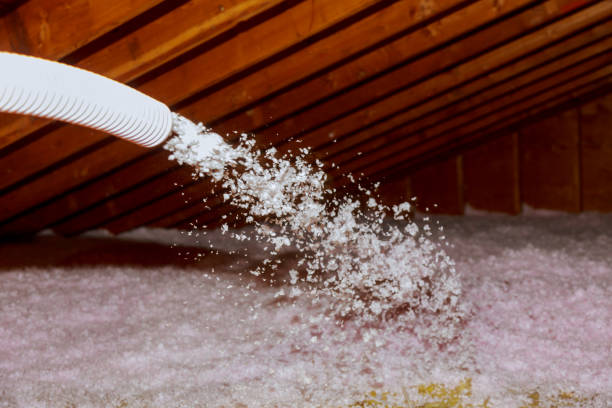 Best Insulation Installation Cost  in Pigeon Forge, TN