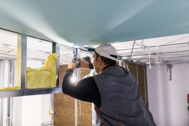 Best Commercial Insulation Contractor  in Pigeon Forge, TN