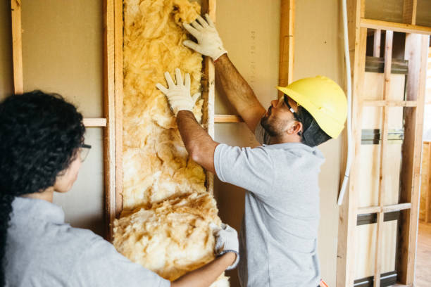 Best Insulation Contractors for Homes  in Pigeon Forge, TN