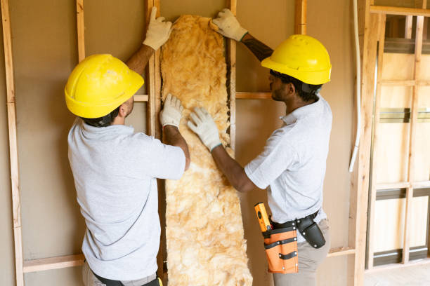 Best Spray Foam Insulation  in Pigeon Forge, TN