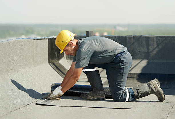 Best Crawl Space Insulation  in Pigeon Forge, TN