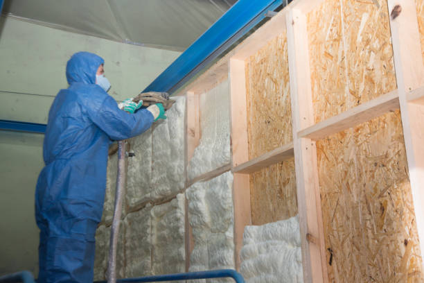 Best Energy-efficient Insulation  in Pigeon Forge, TN